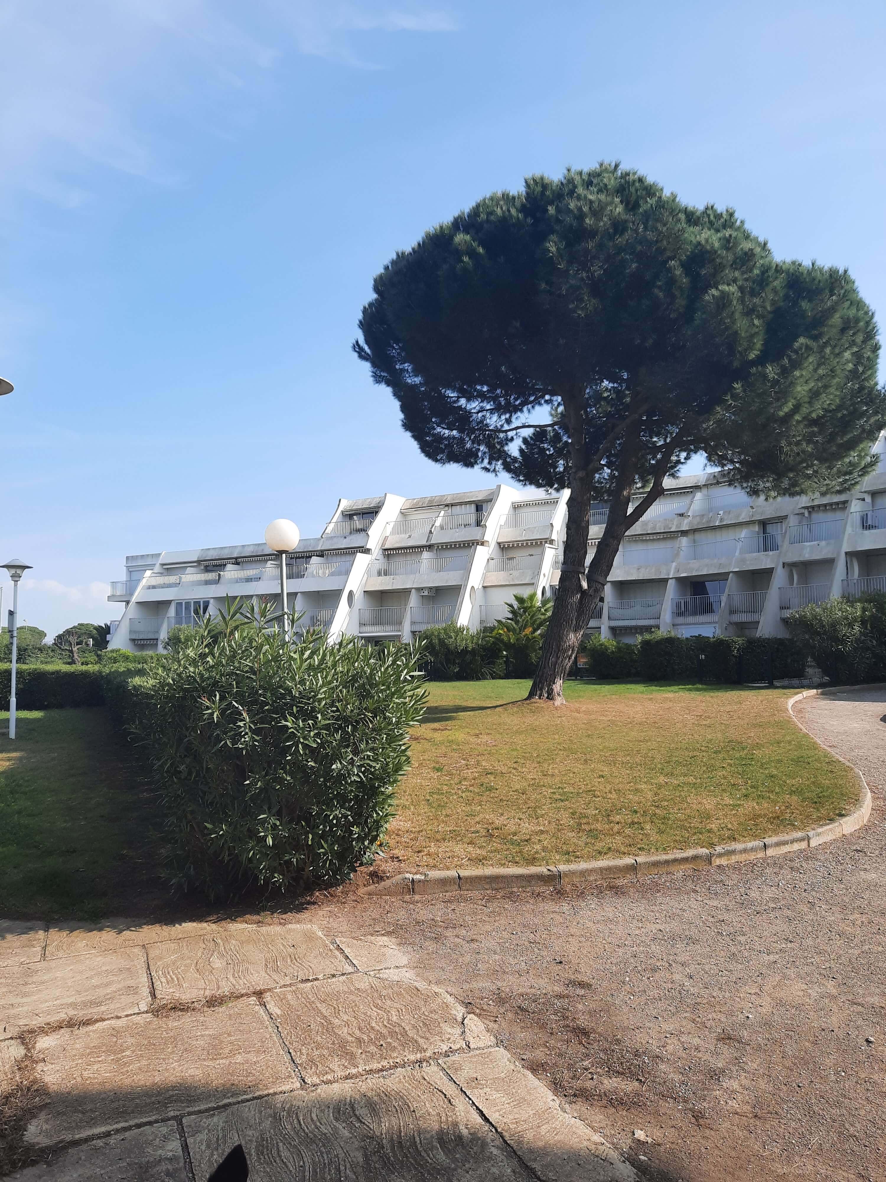 Vue détaillée de la terrasse